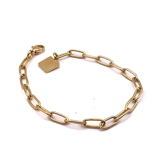 Pulsera Link gold