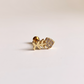 Piercing Fish Acero
