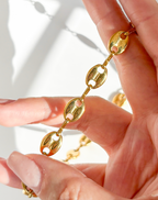 Cadena Grano de Café