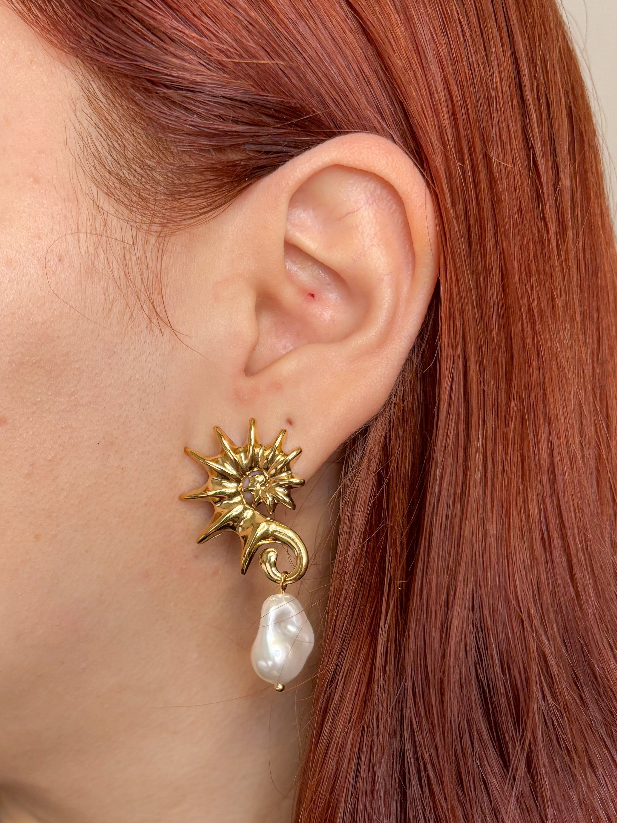Aretes Caballito de mar