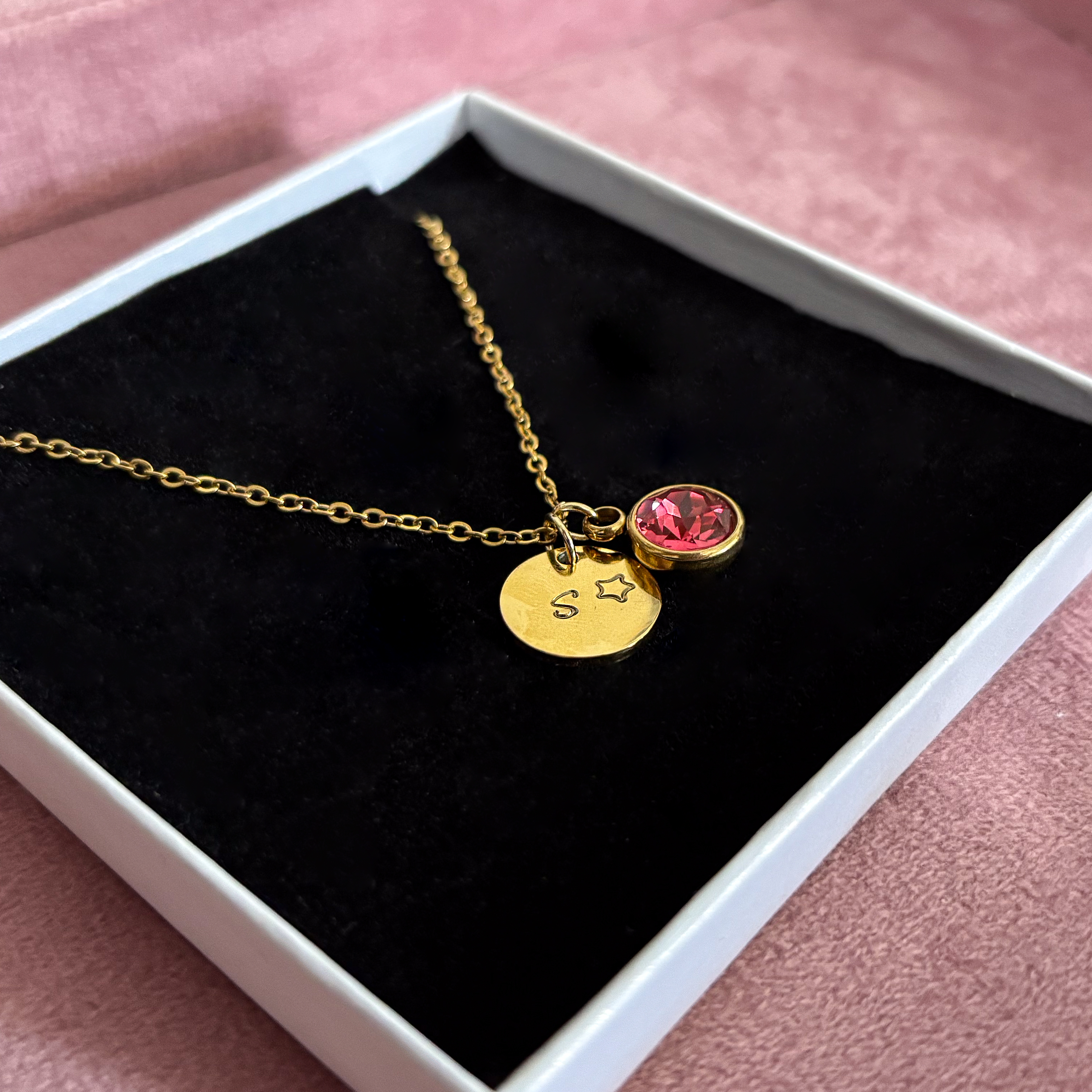 Collar Placa Dije Rosa